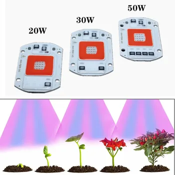 Полный спектр COB LED Grow Light Лампа Chip50W 30W 20W 220V 110V Grow Led чип для выращивания растений, теплица, палатка для выращивания растений